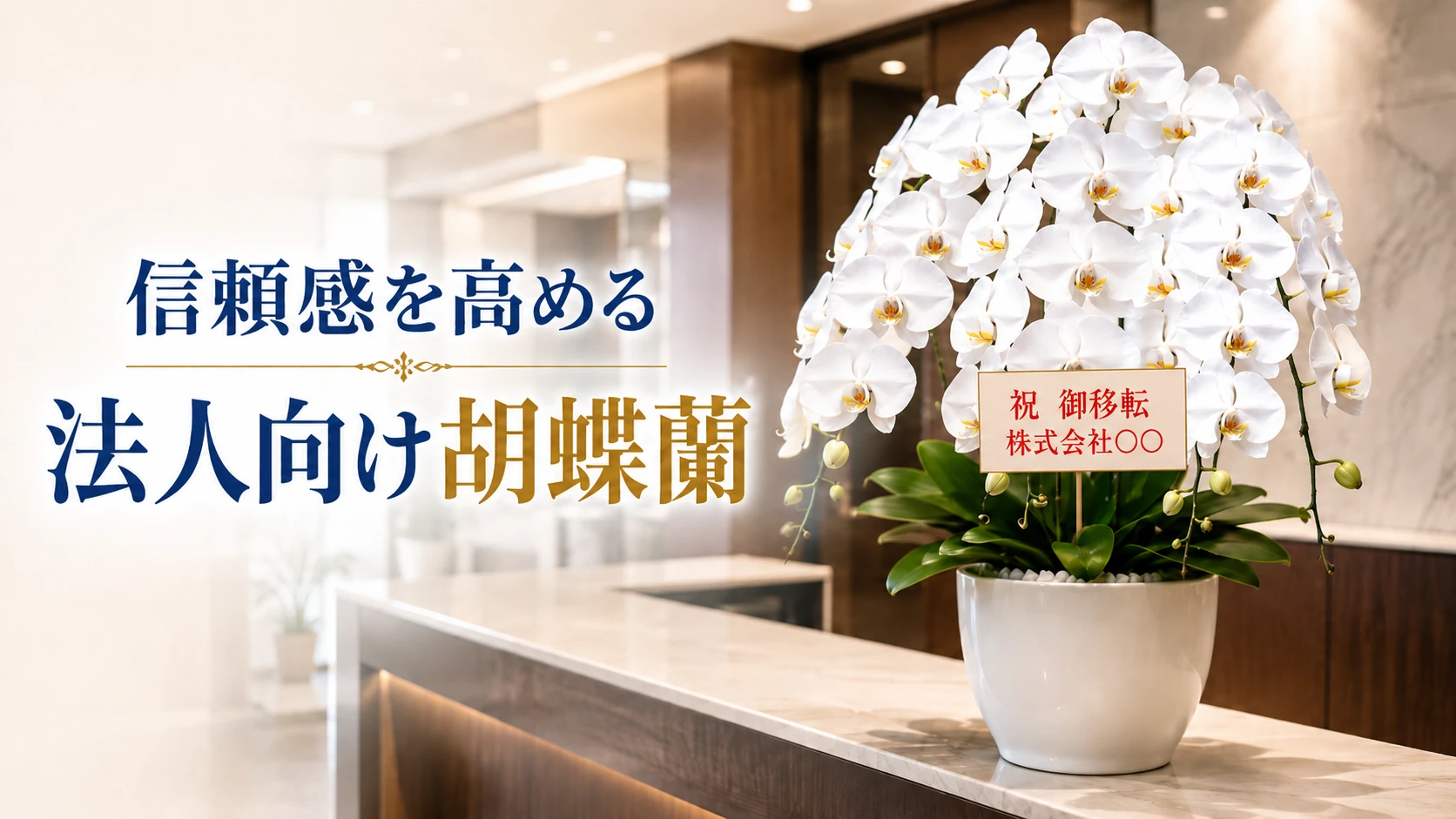 移転祝いに胡蝶蘭を｜碧南市対応・最短即日発送・立札無料