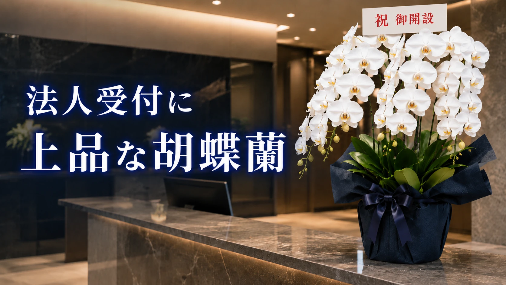 開店祝いの胡蝶蘭を岩倉市へ｜最短即日配送・法人向け立札対応
