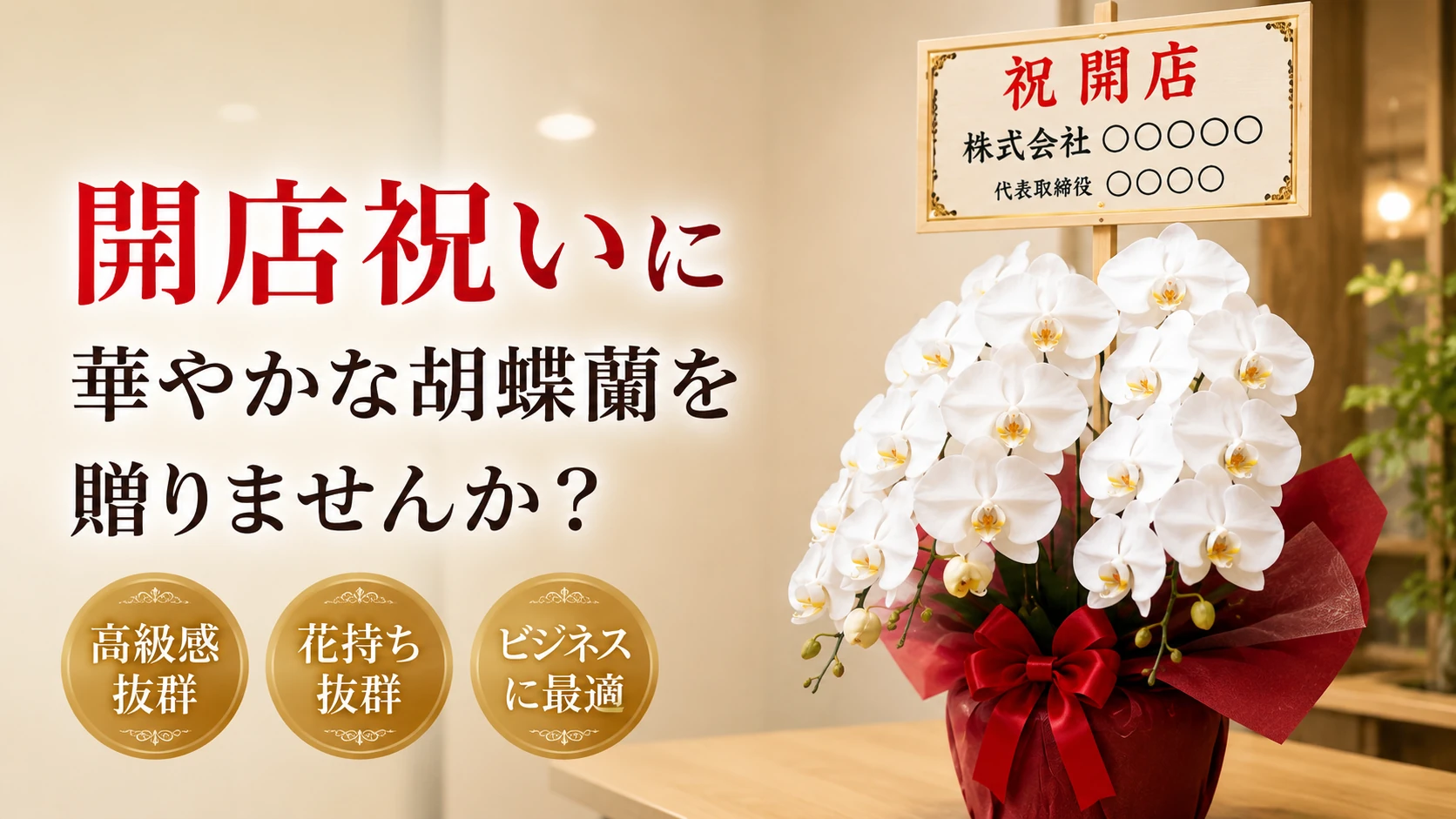 彦根市で開店祝いの胡蝶蘭をお探しなら｜最短即日対応・ラッピング完備