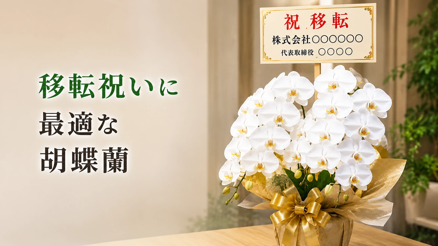 半田市の移転祝い用胡蝶蘭｜最短即日出荷・法人手配にも対応