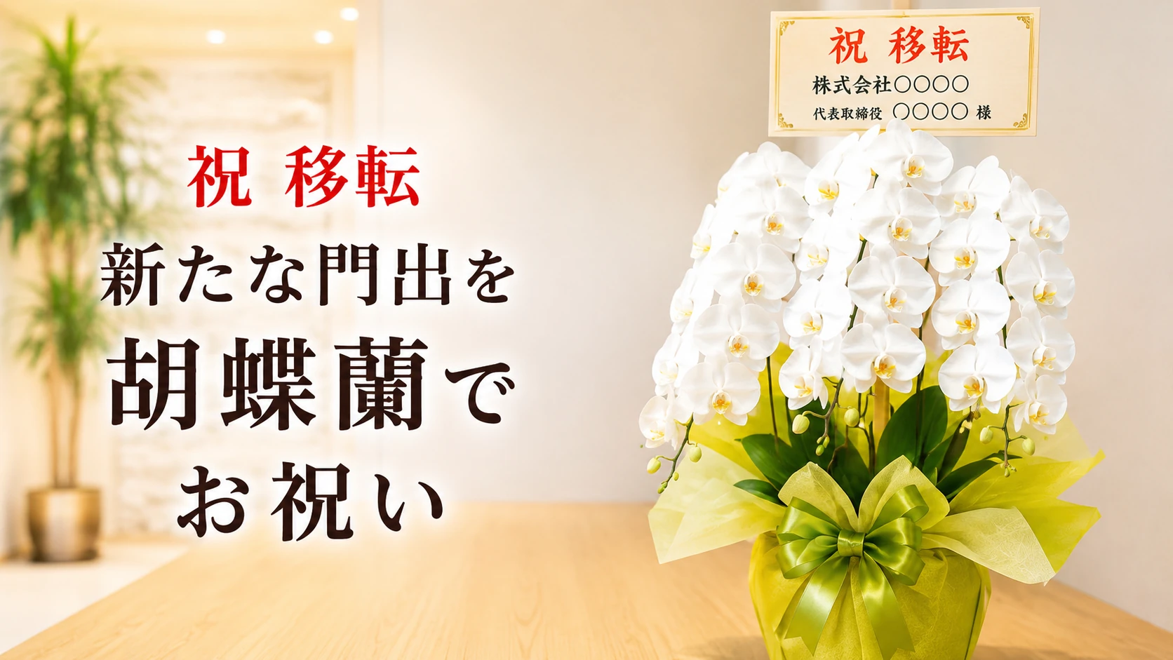 刈谷市エリア移転祝いに胡蝶蘭を｜最短即日配送・上品な白・ピンクを豊富に