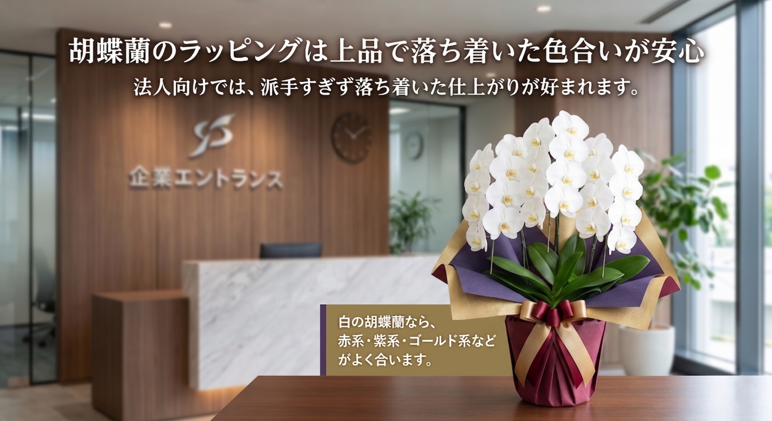 企業エントランスに飾られた白い胡蝶蘭とラッピングの解説