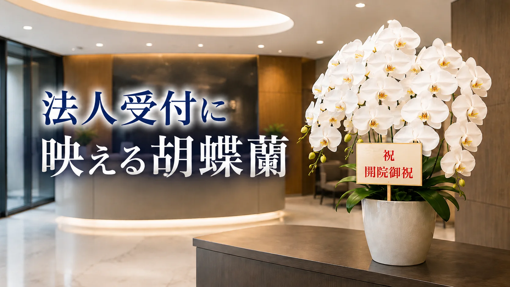 【納得！】胡蝶蘭を東京で即日配達できるおすすめ花屋と当日締め切り時間までの注文手順