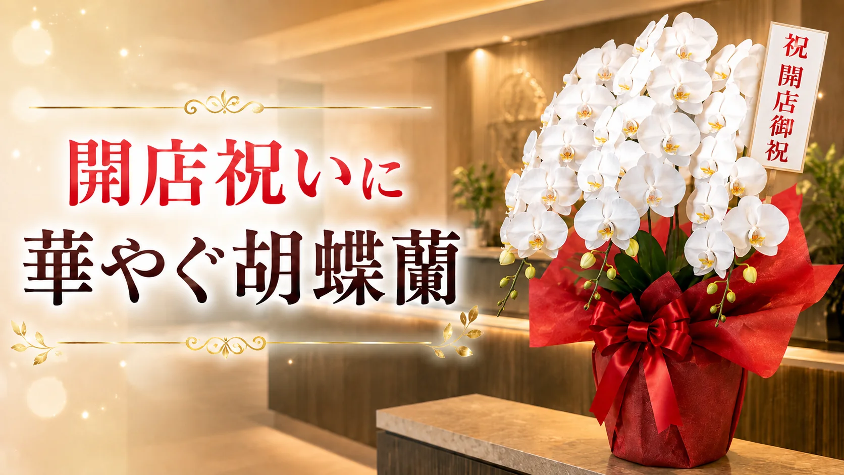 開店祝いの胡蝶蘭を野洲市へ｜最短即日配送・法人向け立札対応