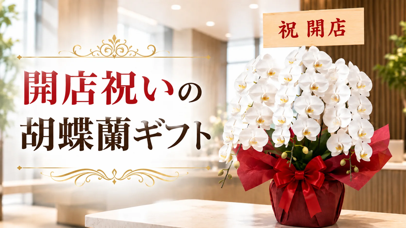 草津市で開店祝いの胡蝶蘭をお探しなら｜最短即日対応・ラッピング完備
