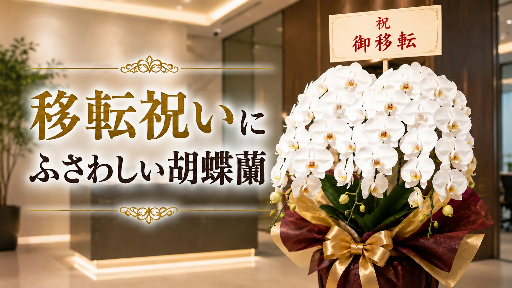 能美市エリア移転祝いに胡蝶蘭を｜最短即日配送・上品な白・ピンクを豊富に