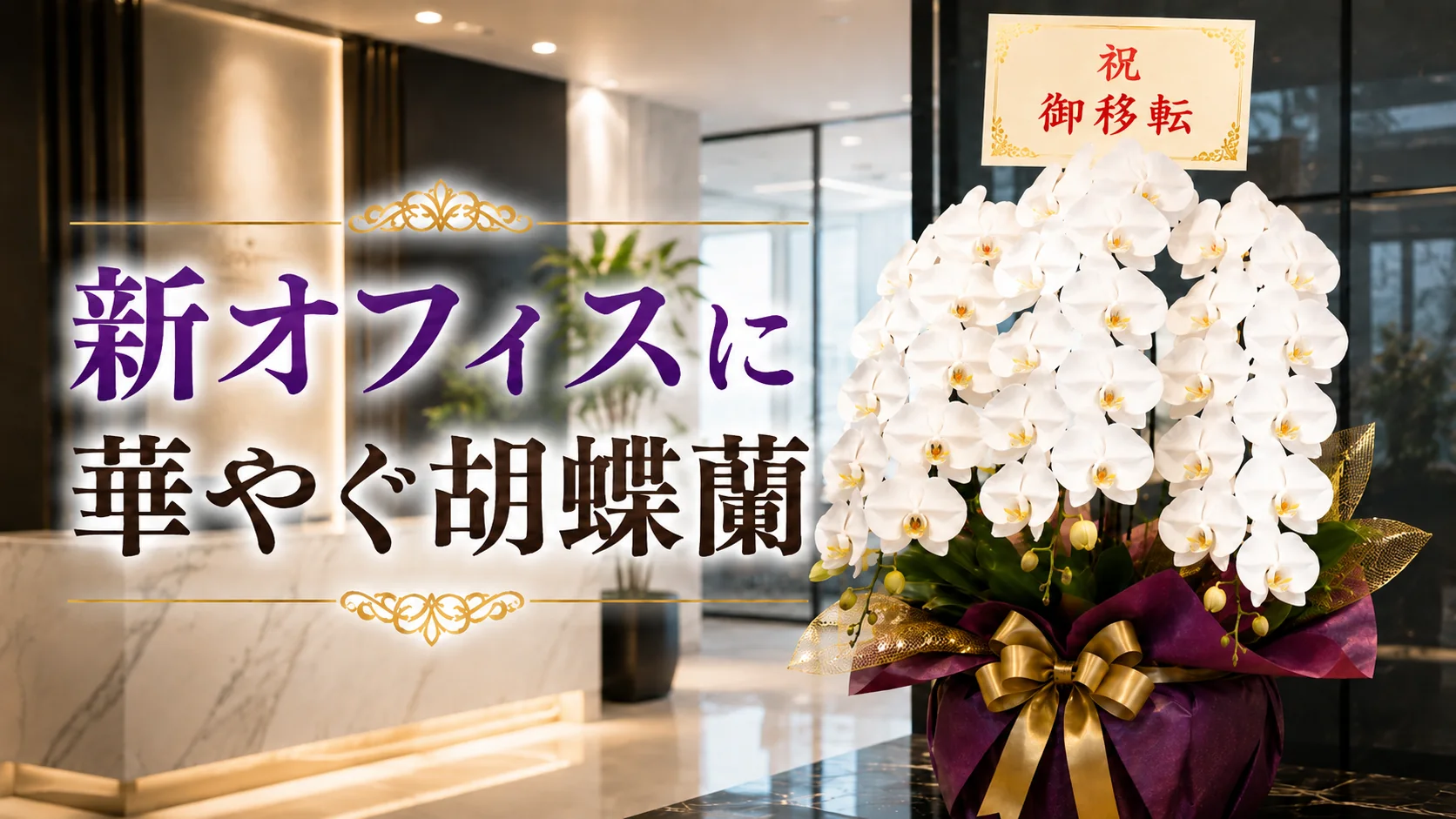 移転祝いに胡蝶蘭を豊川市へ｜最短即日配送・立札・回収対応