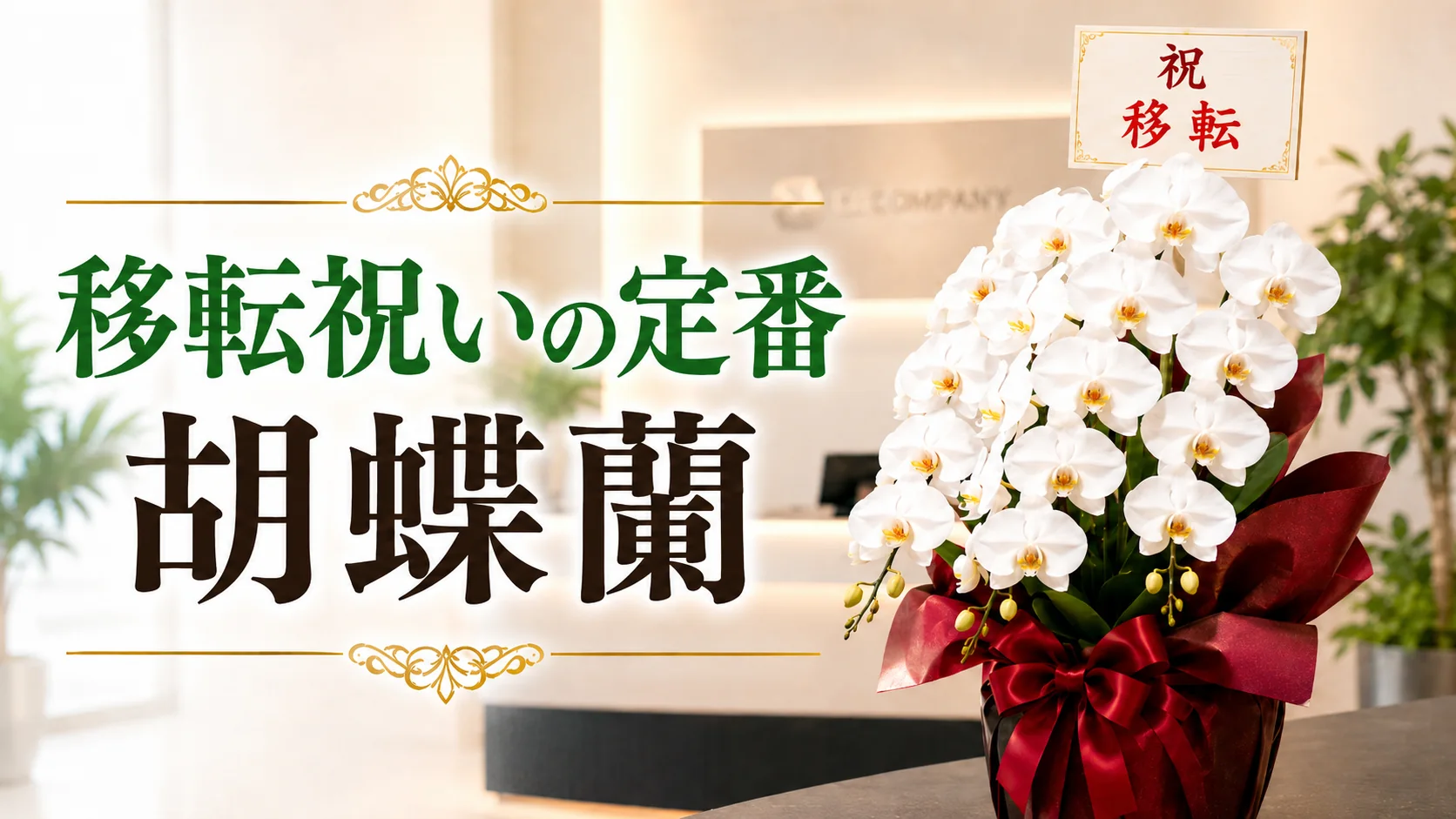 移転祝いの胡蝶蘭を豊田市へ｜最短即日配送・法人向け立札対応