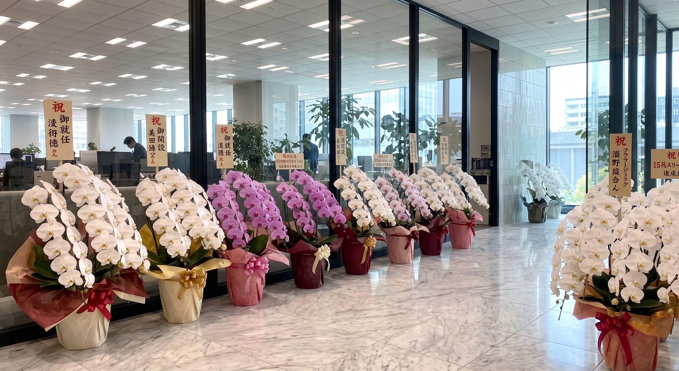企業エントランスに立札付き胡蝶蘭が並ぶ様子