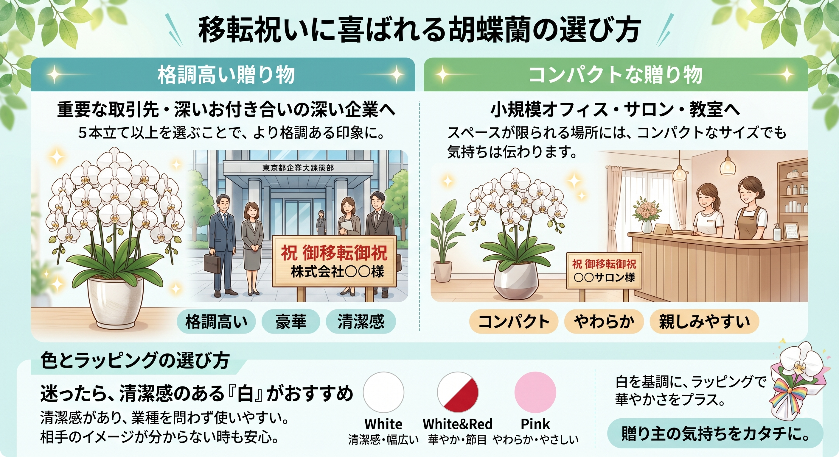 移転祝いに喜ばれる胡蝶蘭の選び方インフォグラフィック